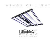 Nebat Focus480 banner tasarımı